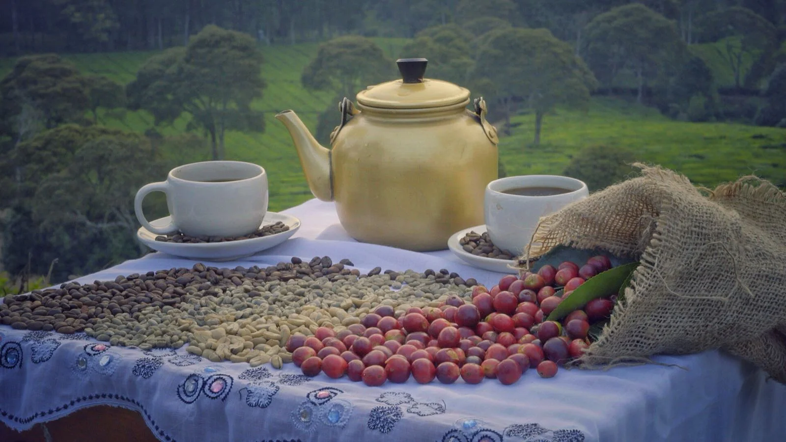 Shop Kopi Luwak - Buy The Most Exclusive Coffee On Earth